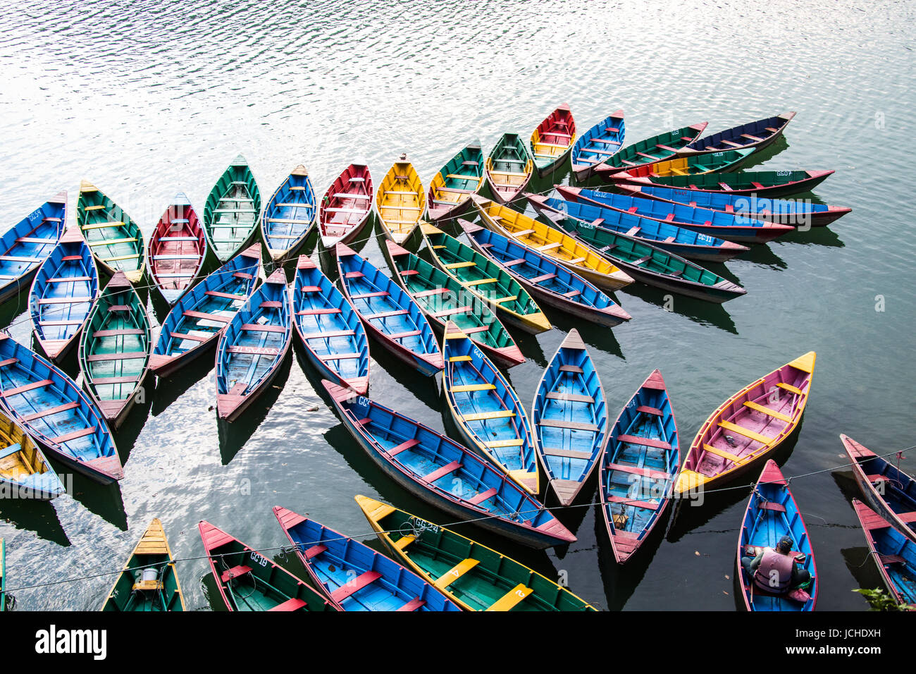 Coloridos botes de remo, el lago Phewa, Pokhara, Nepal Foto de stock