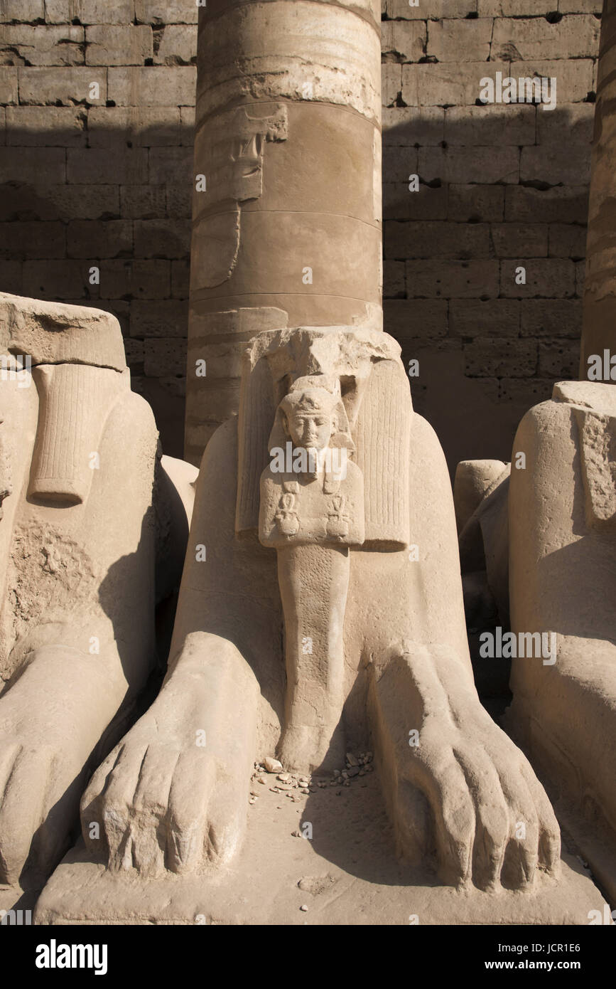 Ruinas de corredor de esfinges, situado en el complejo del templo de Karnak, comprende una vasta variedad de dientes cariados templos, capillas, torres y otros edificios, Luxor, Foto de stock