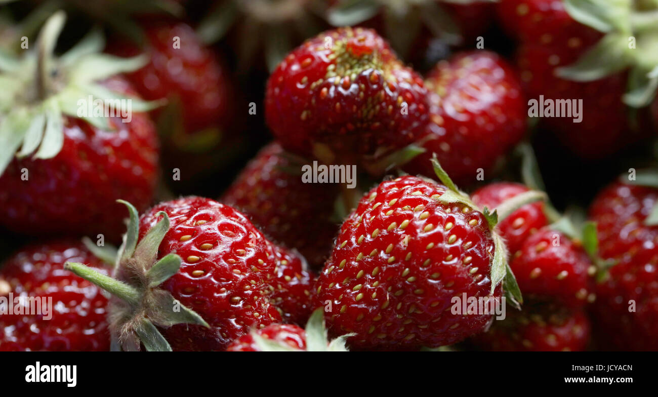 Erdbeeren Foto de stock