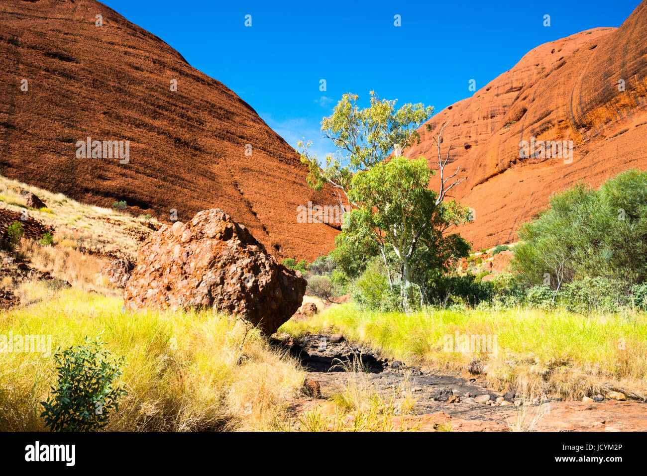 Las Olgas (Kata Tjuta), el Parque Nacional de Uluru-Kata Tjuta, Sitio del Patrimonio Mundial de la UNESCO, el Territorio del Norte, Australia Foto de stock