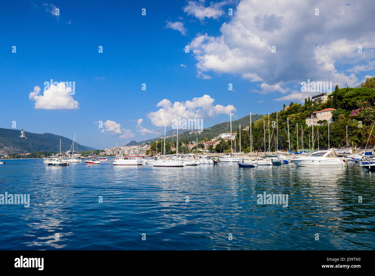 Herceg Novi marina puerto de mar, Montenegro Foto de stock