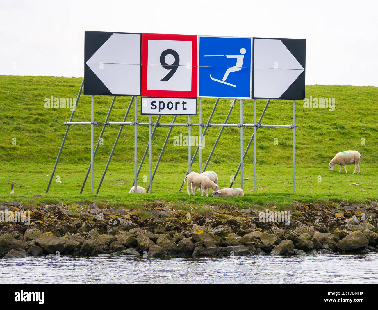 Dike y Banco Río con ovejas y señales de límite de velocidad y hacer esquí acuático en Spui river, Holanda Meridional, Países Bajos Foto de stock