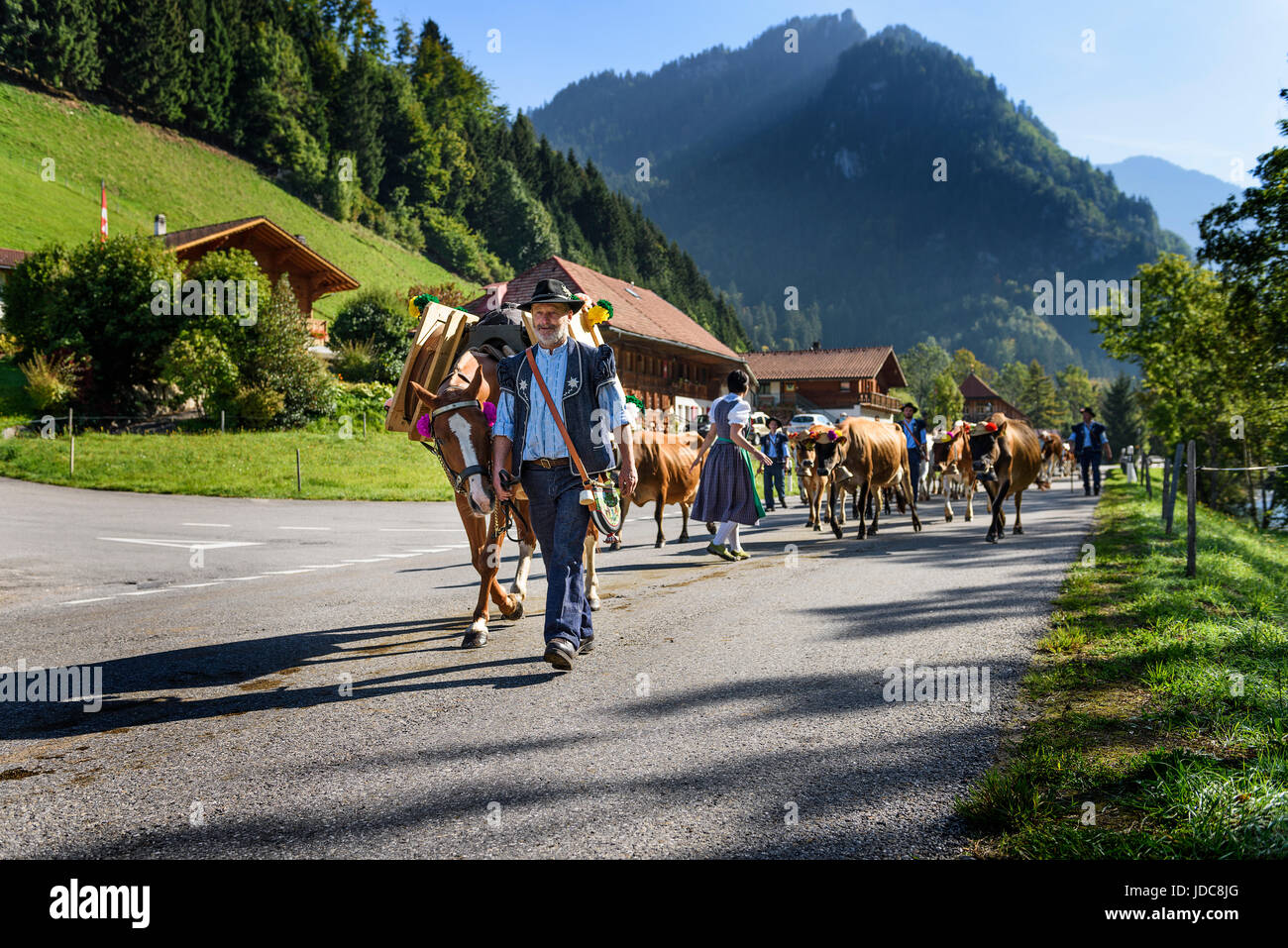 Charmey, Friburgo, Suiza - 26 de septiembre de 2015 : Los agricultores con una manada de vacas en la trashumancia anual en Charmey cerca de Gruyeres, zona de Friburgo Foto de stock