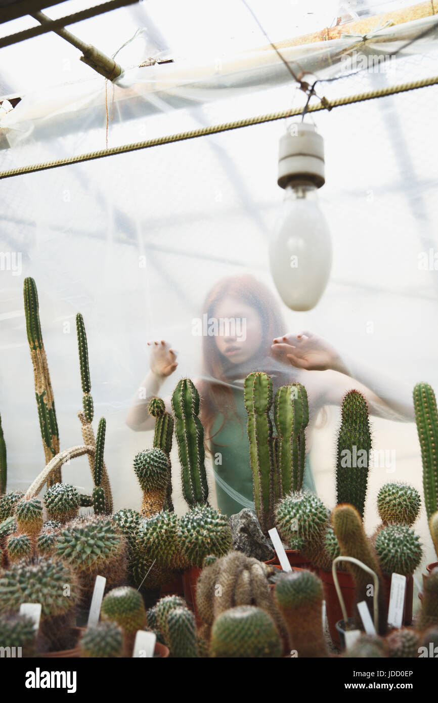 Cactus girl fotografías e imágenes de alta resolución - Página 11 - Alamy
