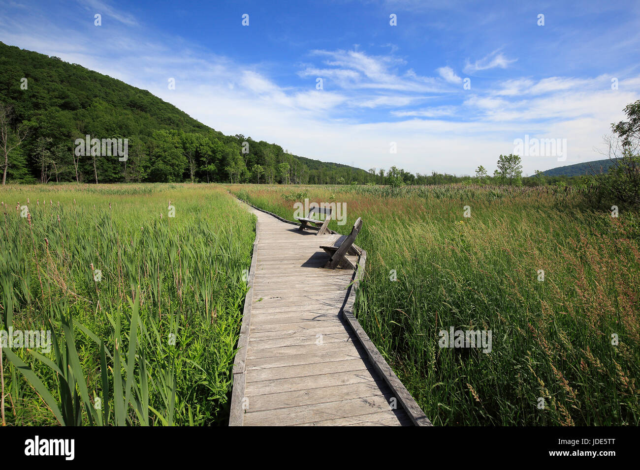 Appalachian Trail cruzando el gran pantano en Pawling NY Foto de stock