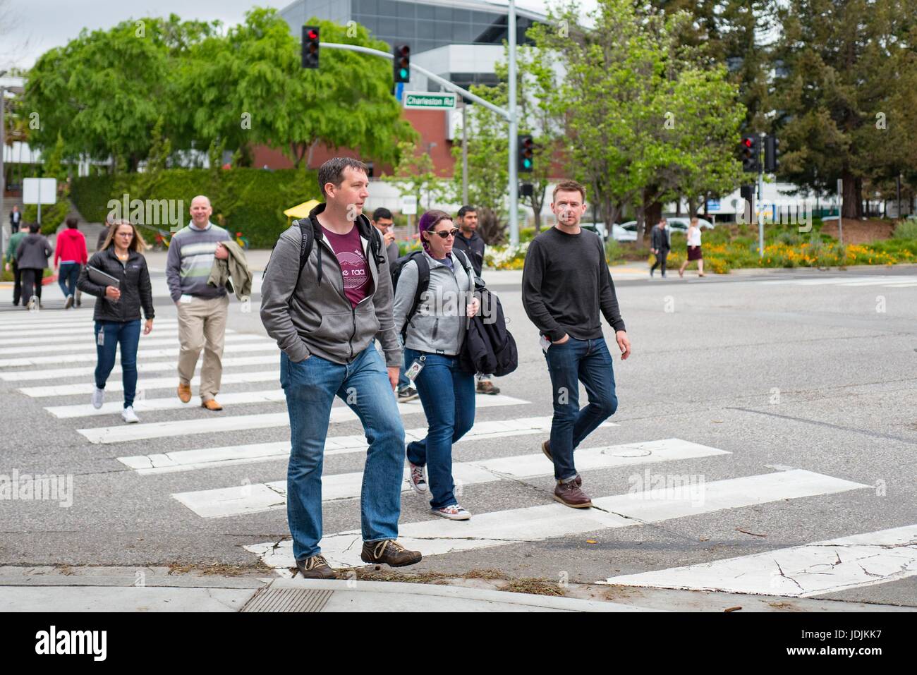 Un grupo de jóvenes trabajadores de tecnología cross Charleston Street en el Googleplex, Silicon Valley, sede de la compañía de tecnología de motor de búsqueda y Google Inc, Mountain View, California, 7 de abril de 2017. Foto de stock