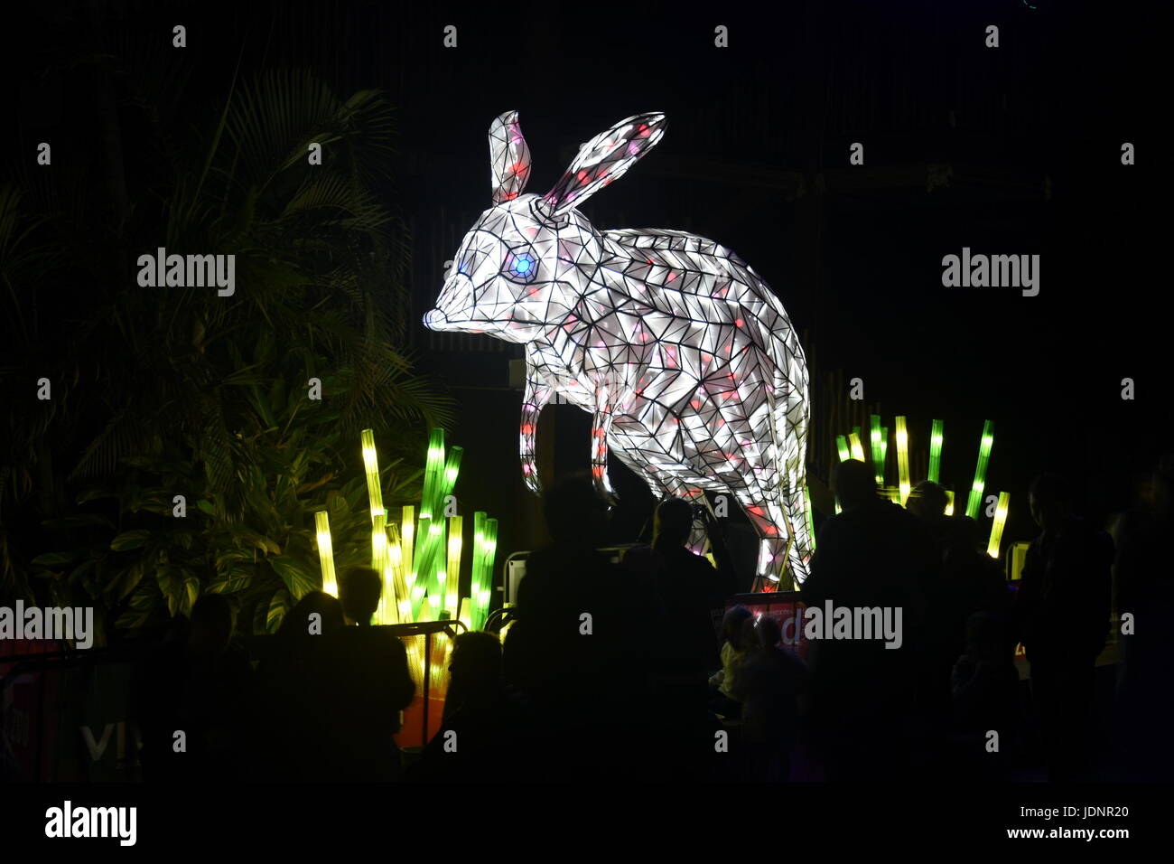 Sydney, Australia - 16 Jun, 2017. Mayor Bilby. Multimedia gigantes esculturas de luz en un impresionante parque de Taronga Zoo durante el Vivid Sydney luces F Foto de stock