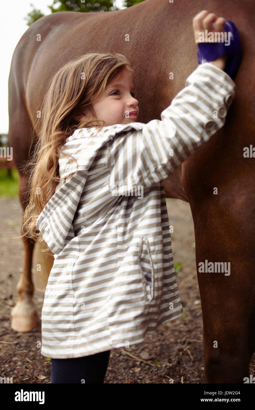 Chica cepillarse el pelo de caballo al aire libre Foto de stock