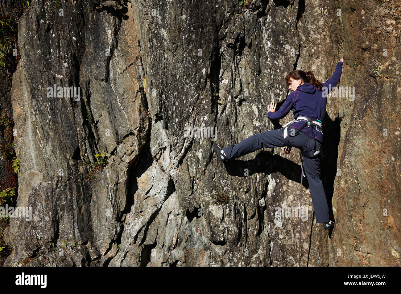 Mujer escalada Foto de stock
