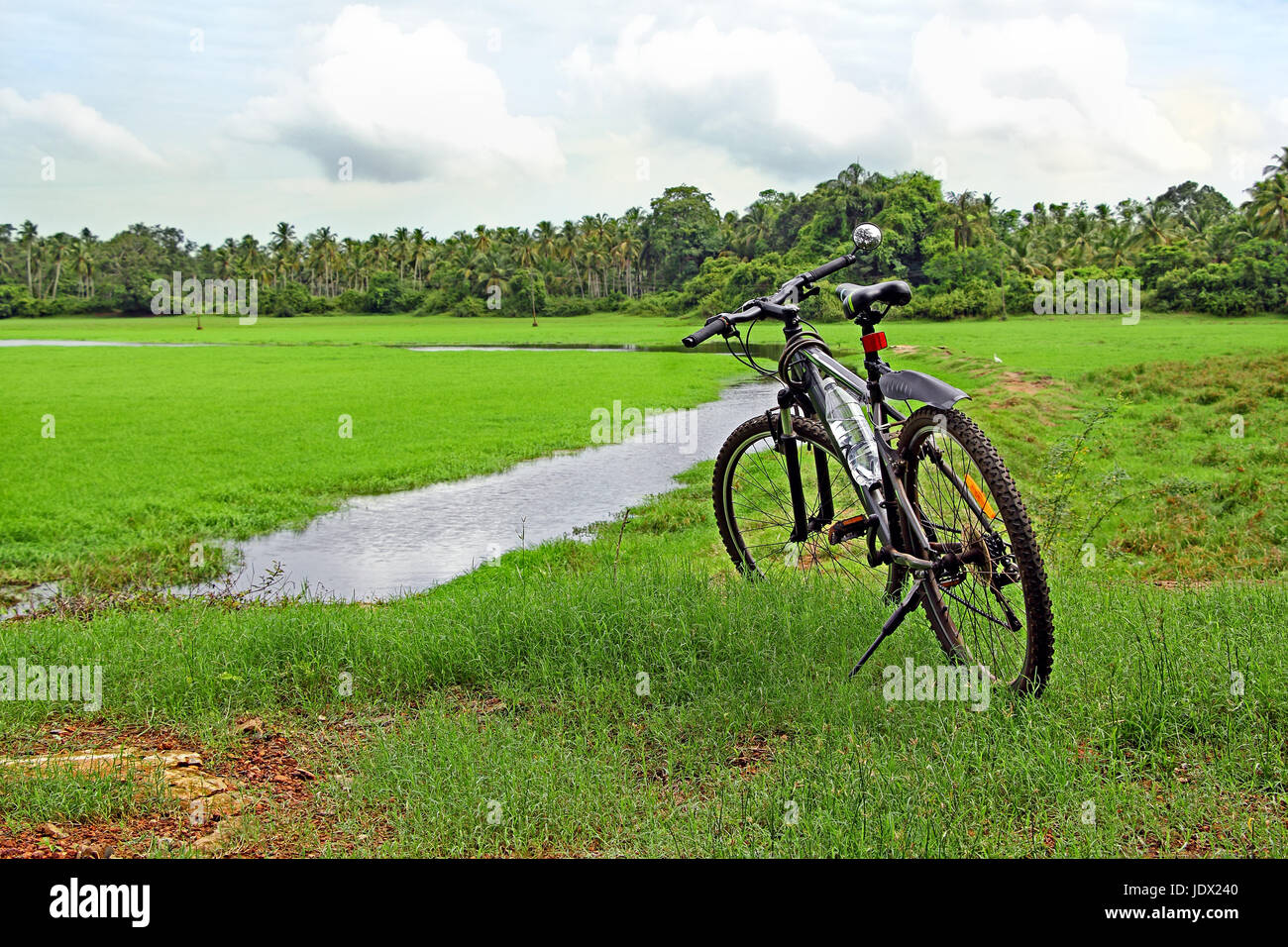 Ciclo aparcado entre el follaje exuberante césped, mientras que en bicicleta a lo largo de la pintoresca campiña con pastizales y arroyos en Goa, India Foto de stock