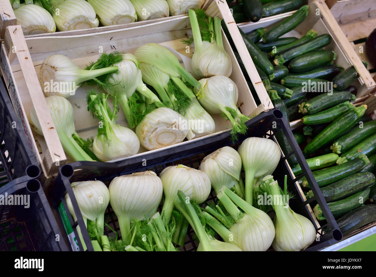 Bulbos de hinojos y los calabacines en el supermercado cajas de presentación Foto de stock