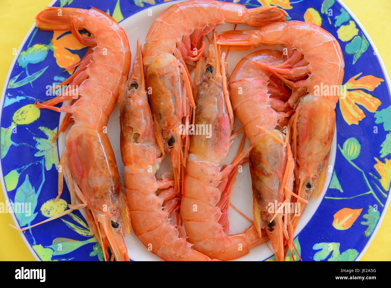 Kleinere tiere heissen im spanischen camarones fotografías e imágenes