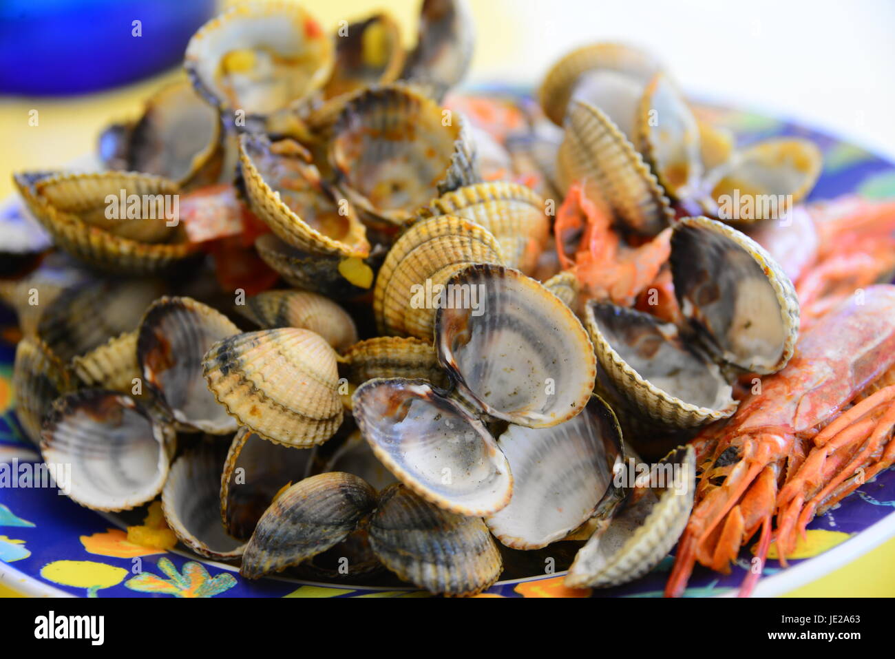 Berberechos - España Foto de stock