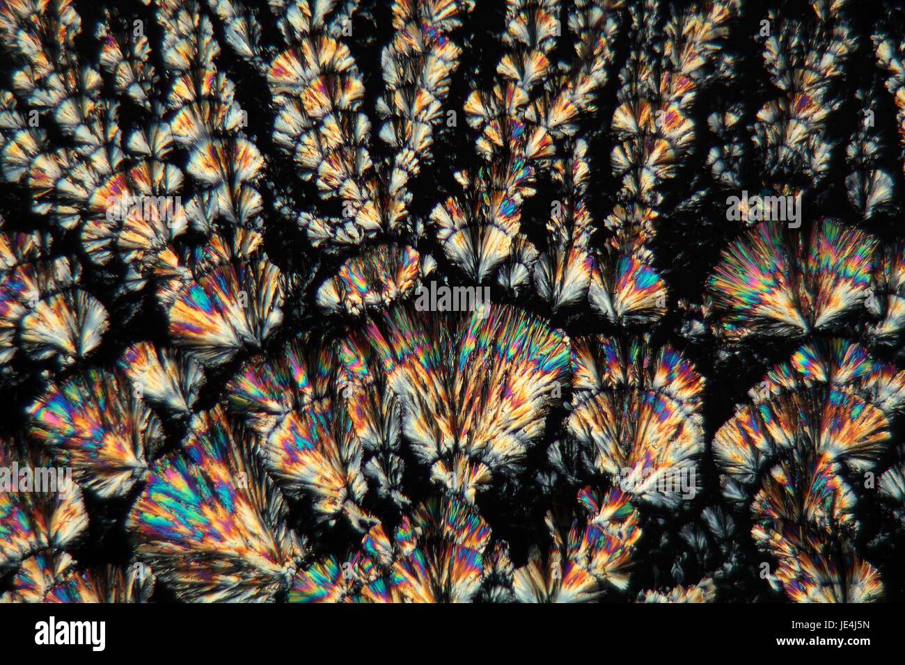 La vitamina c bajo el microscopio Fotografía de stock - Alamy