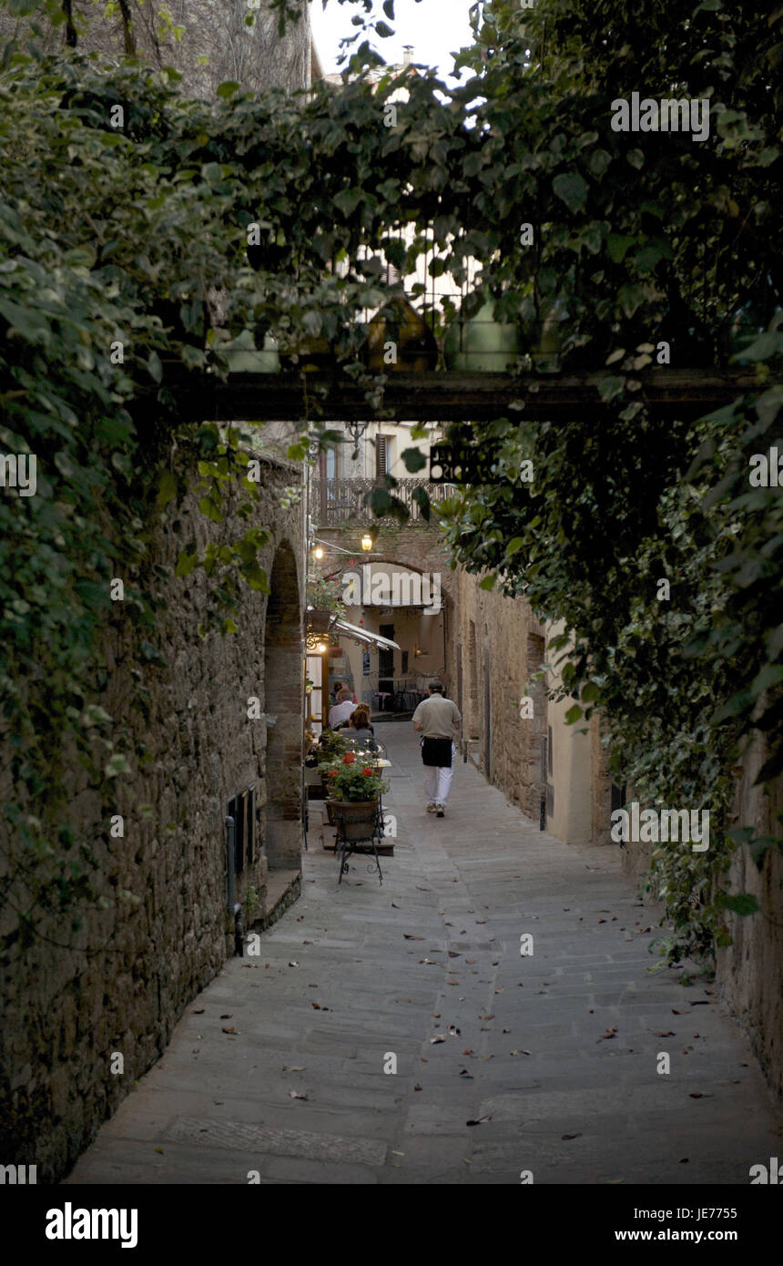 Italia, Toscana, la Maremma, Massa Marittima, Casco antiguo, pequeño, Ivy Lane por las murallas defensivas, Foto de stock