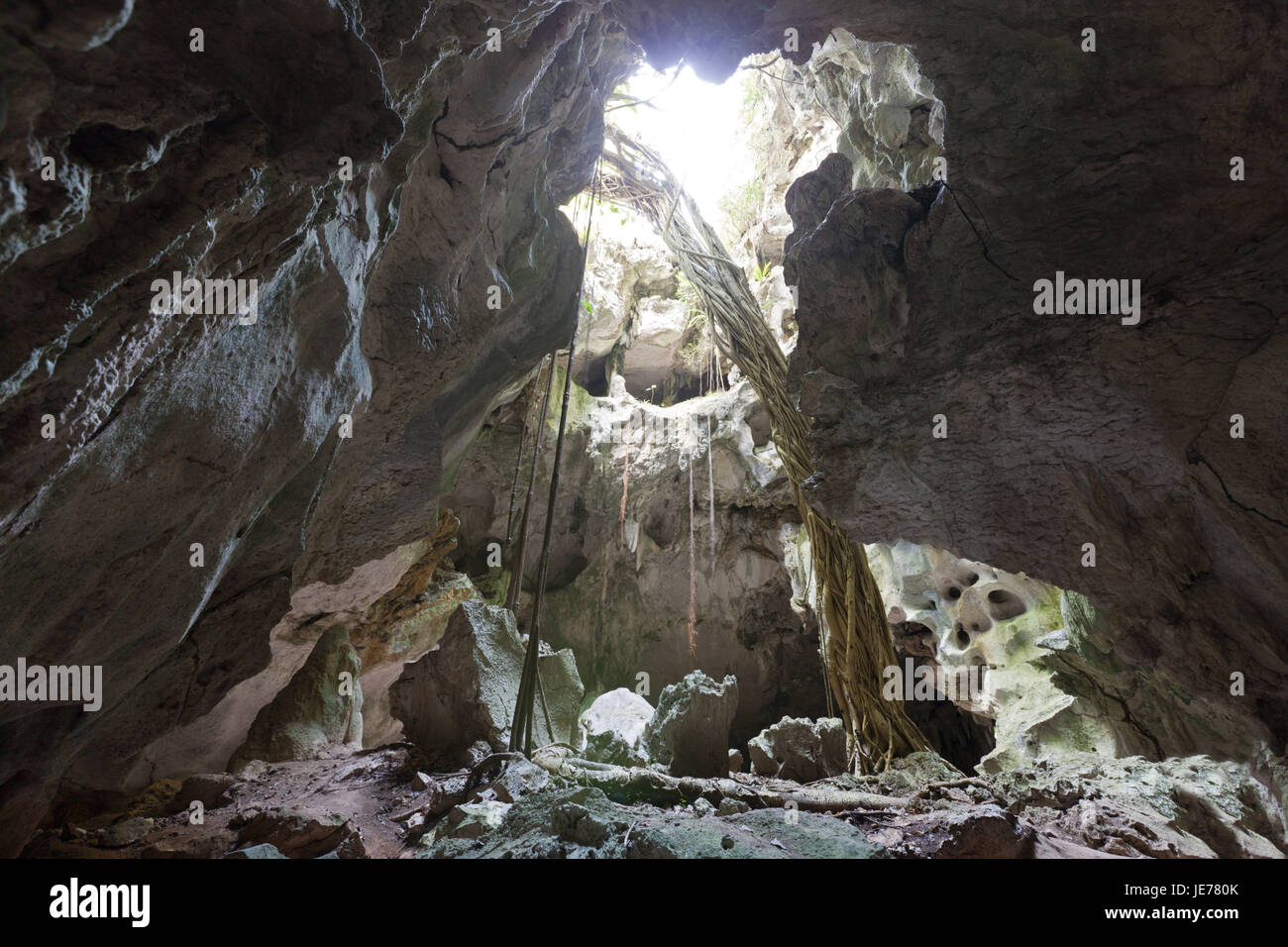 Cueva de piedra caliza San Gabriel, parque nacional Haitises lote, República Dominicana Foto de stock