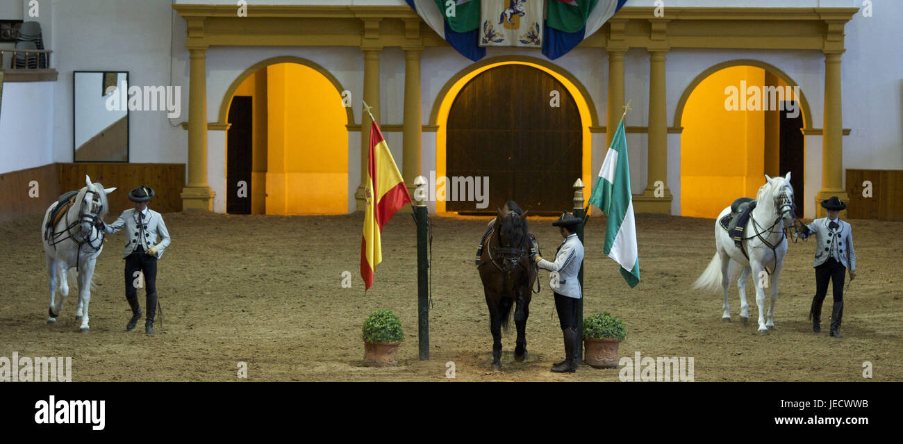 España, Andalucía, provincia de Cádiz, Jerez de la Frontera, la purga de la Real Academia de equitación-andaluza, Foto de stock