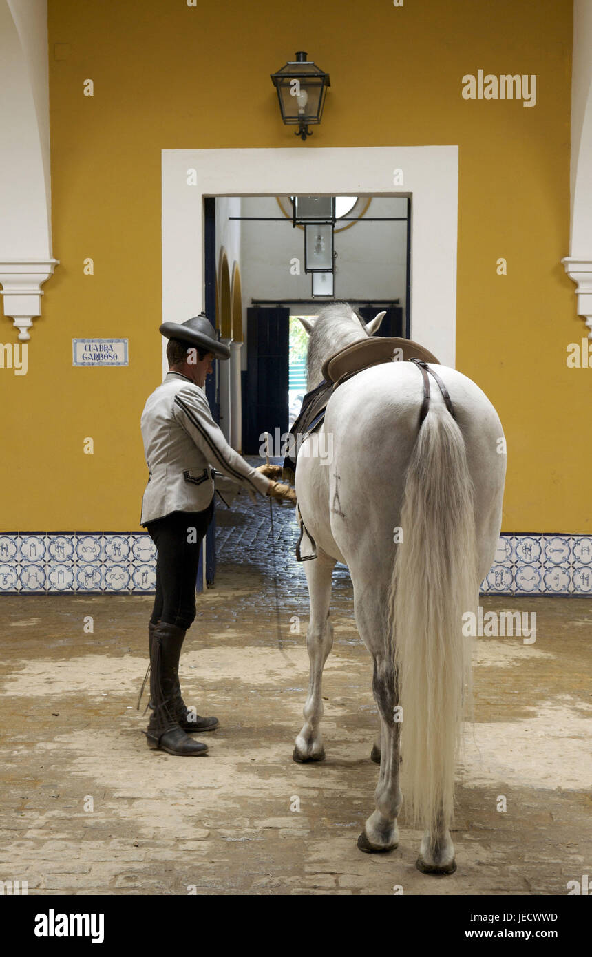 España, Andalucía, provincia de Cádiz, Jerez de la Frontera, la purga de la Real Academia de equitación-andaluza, Foto de stock