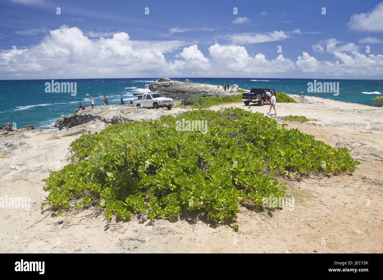 Costa, turista, Makahoa Kahuku Point, Hawai, Oahu, ESTADOS UNIDOS, Foto de stock