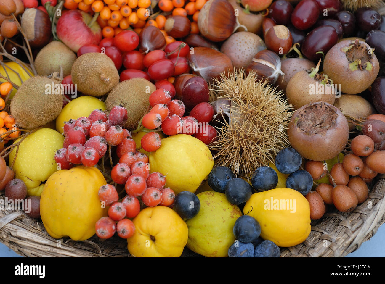 Los diferentes tipos de frutas, frutas silvestres, admisión, detallada,  Verschiedene Wildfruechte Detailaufnahme Obstsorten Fotografía de stock -  Alamy