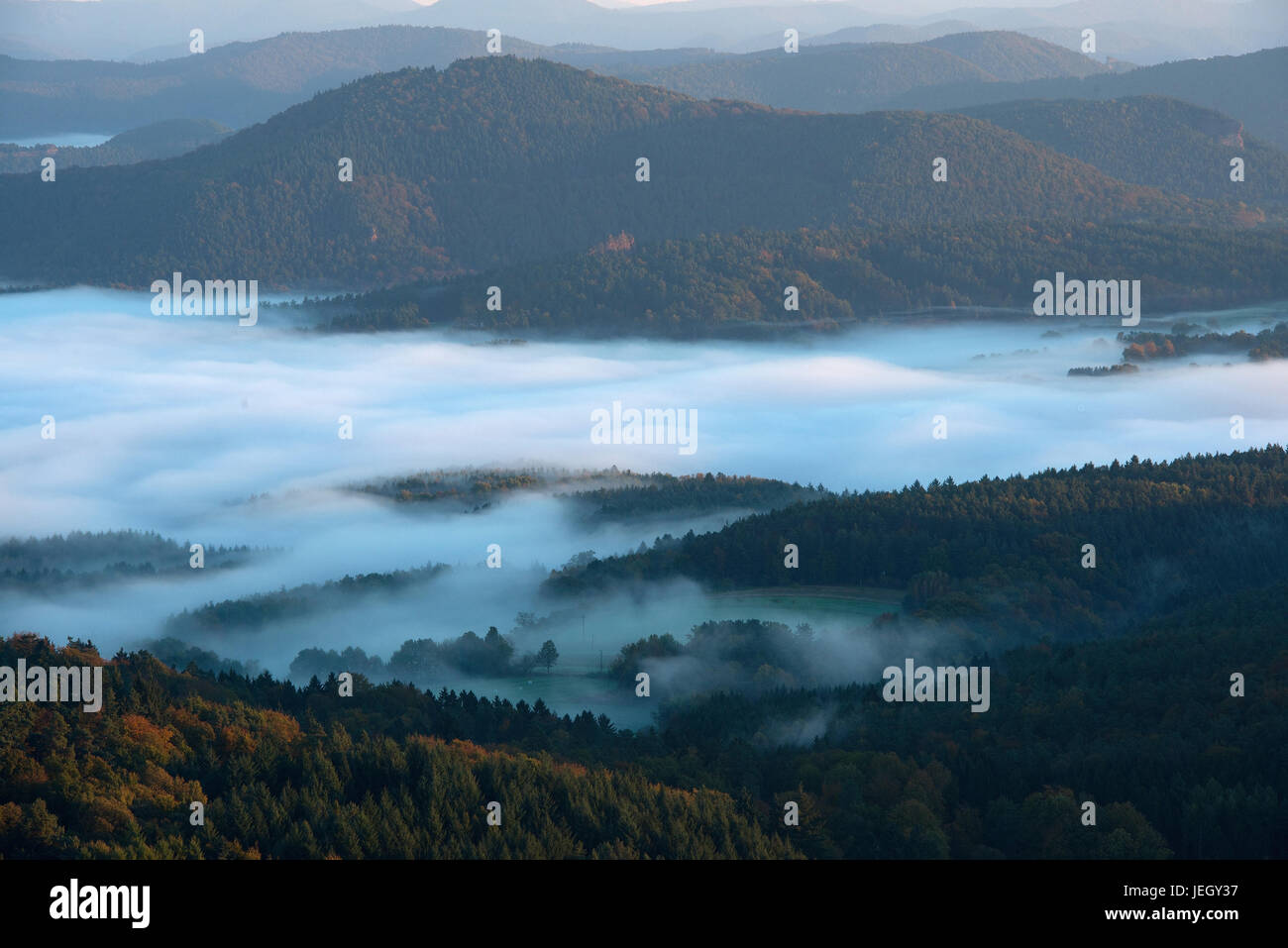 Selva Negra, nebuloso, humor, Schauinsland, Schwarzwald, Nebelstimmung Foto de stock