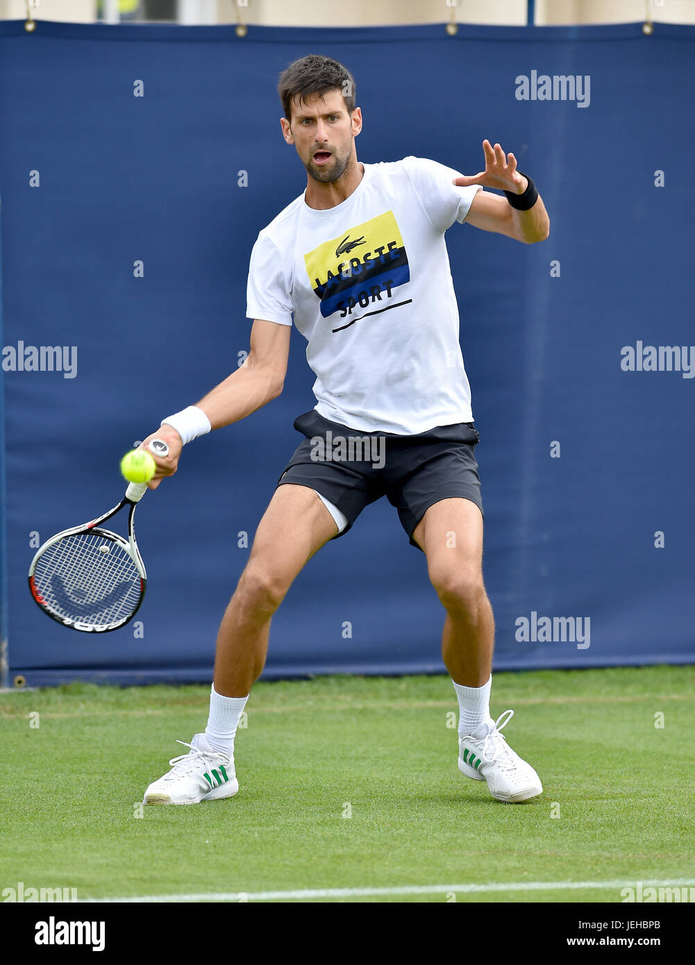 Novac Djokovic practicar en el Aegon International Tennis Tournament en Devonshire Park en Eastbourne East Sussex, Reino Unido. 25 Jun 2017 Foto de stock