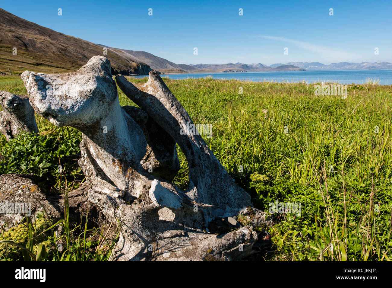 Callejón de hueso de ballena, Isla Ittygran, Chukotka, Rusia Foto de stock