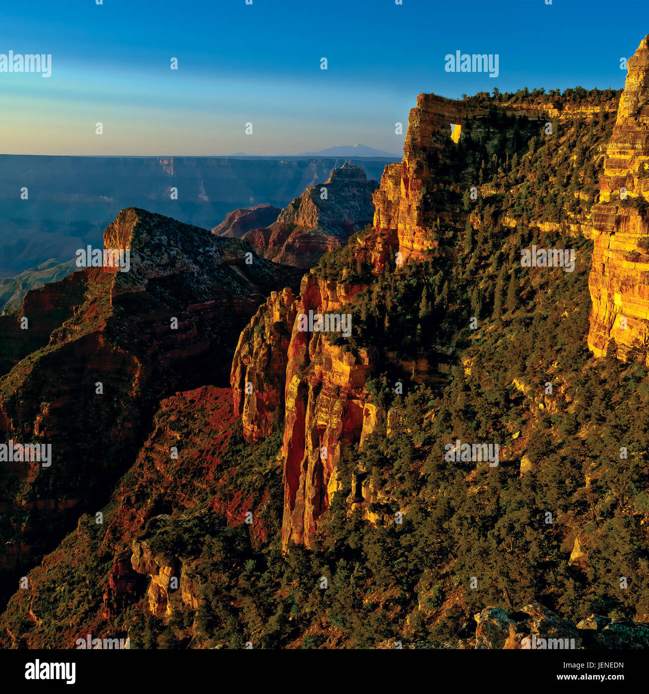 Cape Royal, North Rim, Grand Canyon, Arizona, Estados Unidos Foto de stock