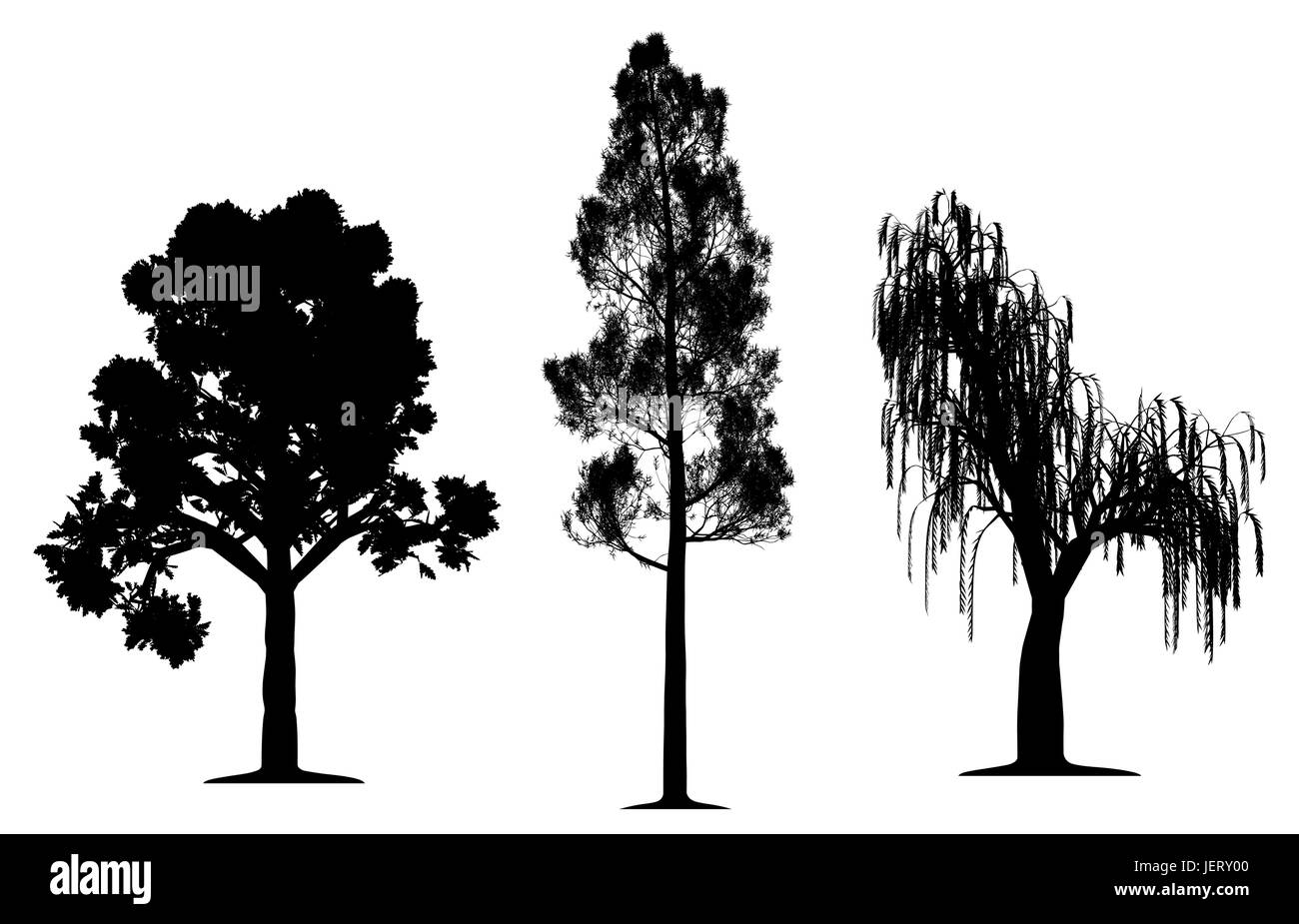 Árbol, árboles, pinos, robles, silueta sauce llorón, vector, bosque, hoja, Ilustración del Vector