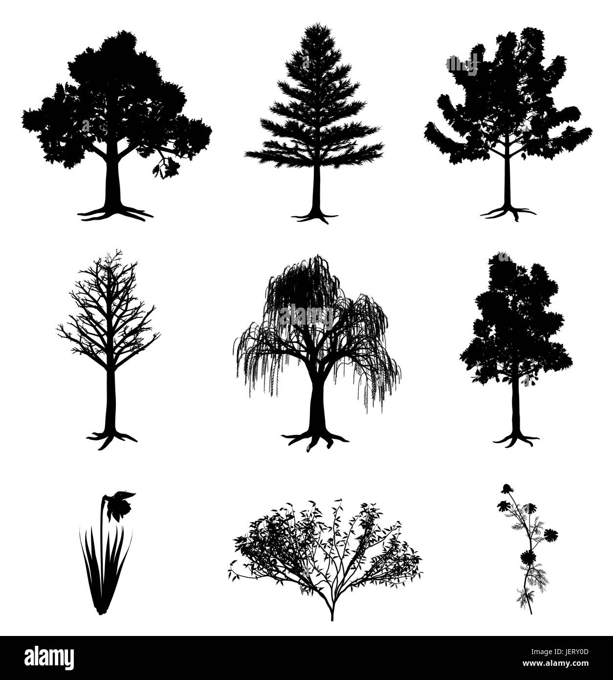 Árbol, árboles, flores, plantas, raíces, Bush, Narciso, Narciso, hojas individuales, Ilustración del Vector