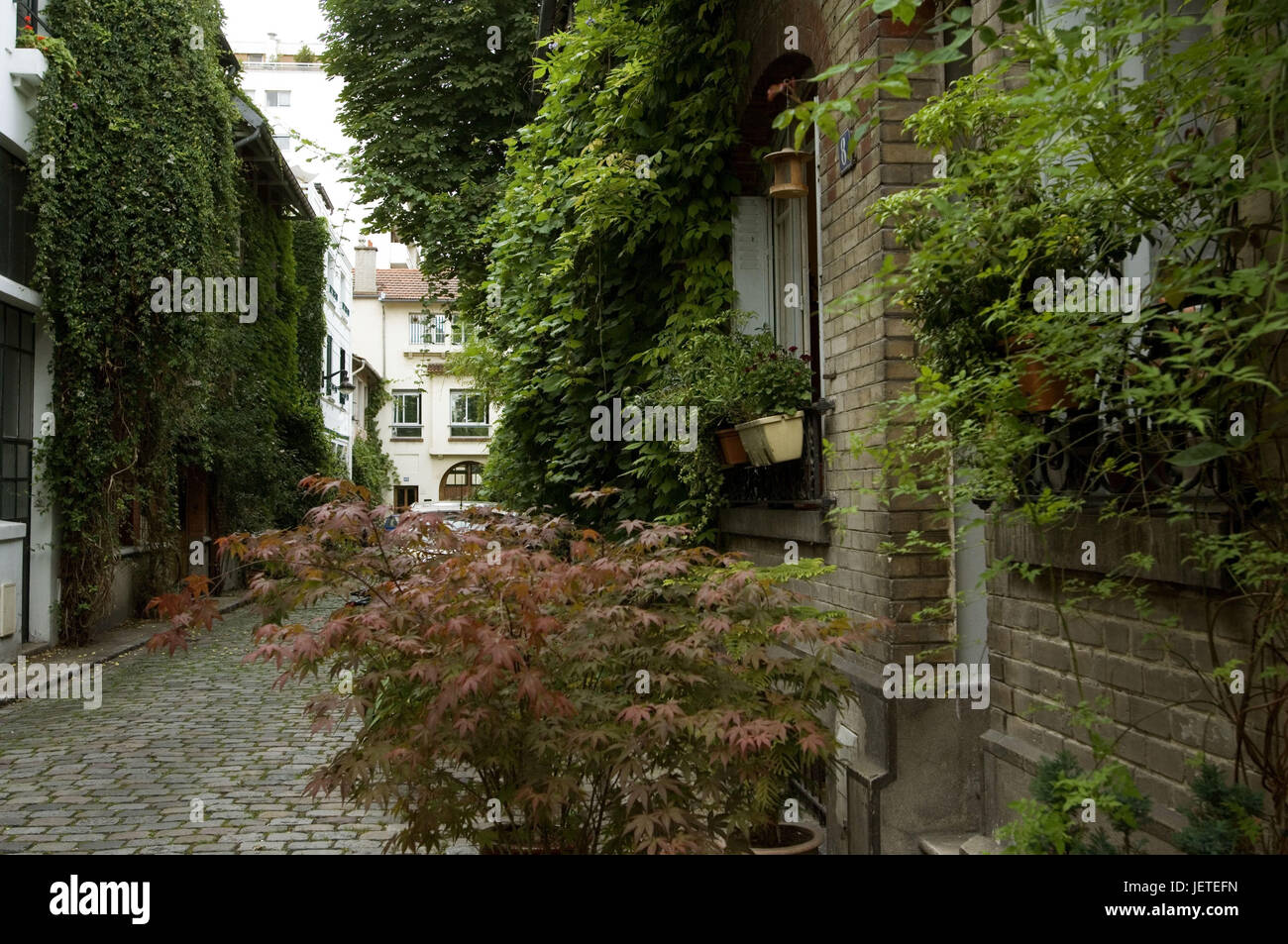 Francia, Paris Vaugirard, Villa Santos-Dumont, fachada, plantas trepadoras, Foto de stock