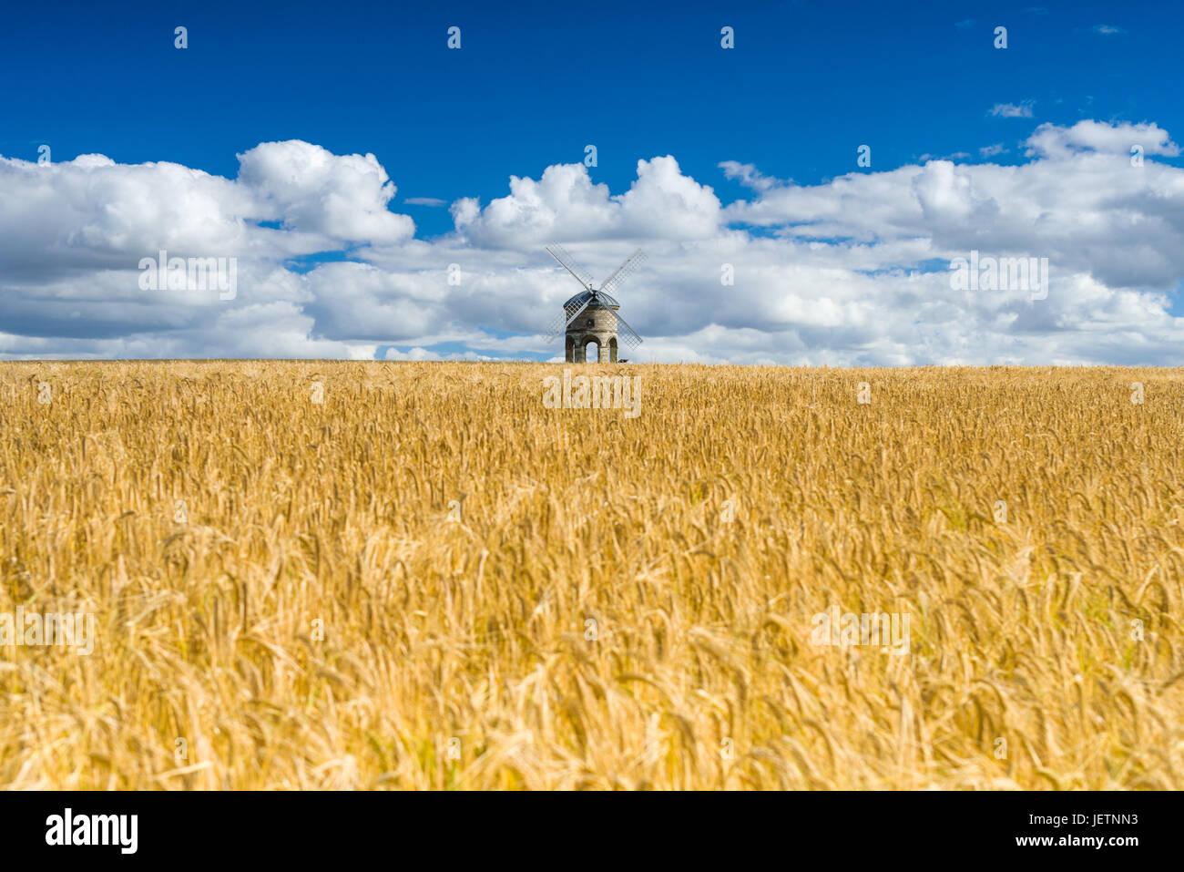 Chesterton Windmill en verano, campo de trigo, Warwickshire, Reino Unido Foto de stock