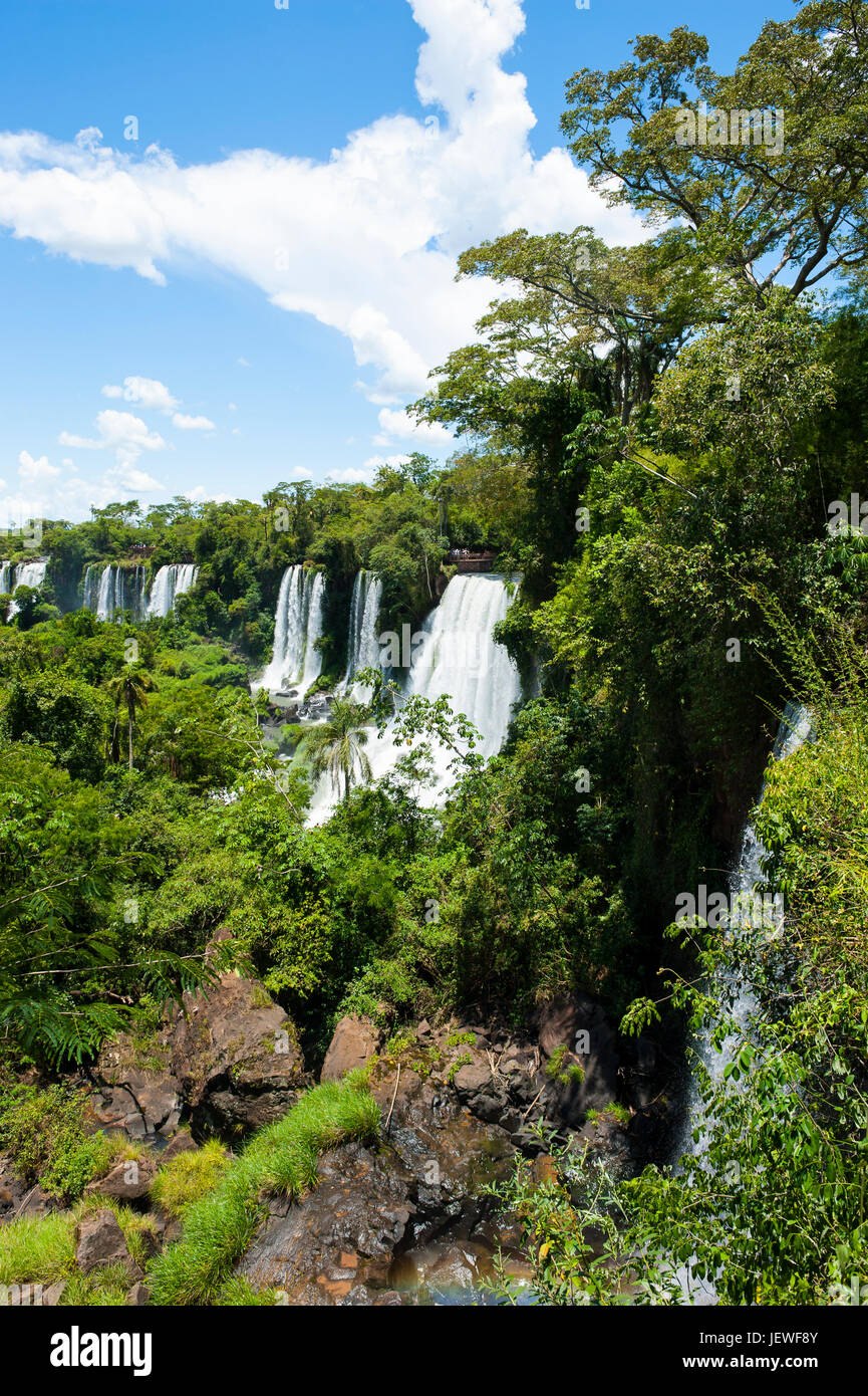 Vista de patrimonio mundial de la Unesco, las Cataratas del Iguazú, Argentina, Sudamérica Foto de stock