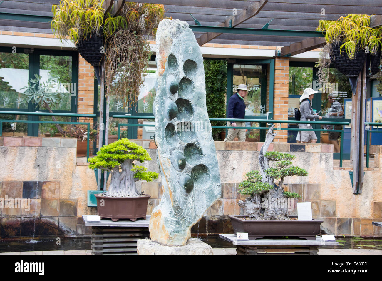 Los Jardines Botánicos Kirstenbosch, Cape Town, Sudáfrica Foto de stock