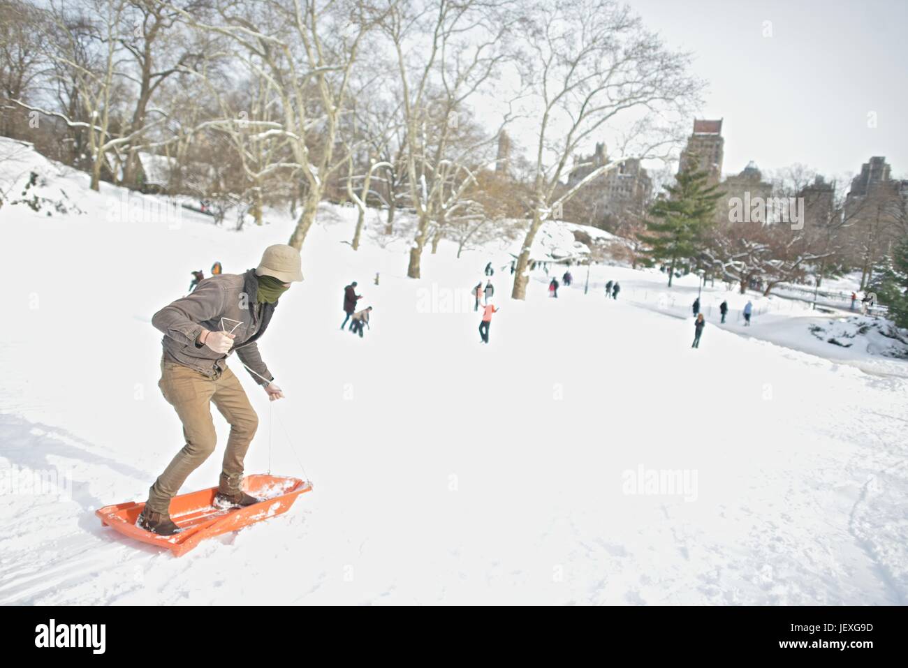 Actor de Disney, Cole Sprouse, trineos cuesta abajo en el Parque Central de las secuelas de la tormenta de invierno Juno. Foto de stock