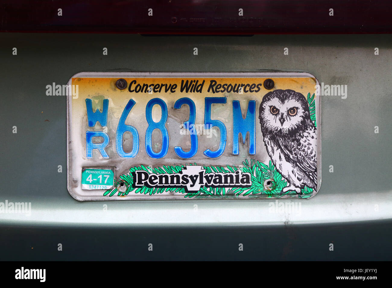 Decoradas estado de Pennsylvania de matrícula de coche alentando a la gente a ahorrar recursos silvestres, EE.UU. Foto de stock