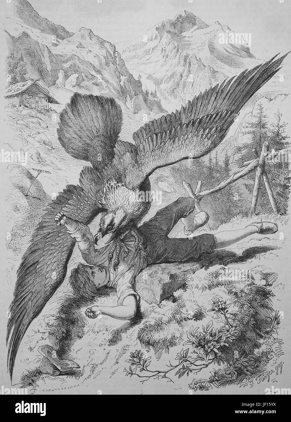 Un buitre ataca a un muchacho, ilustración histórica de la vida animal en el mundo alpino, mejor reproducción digital de una impresión original de 1888 Foto de stock