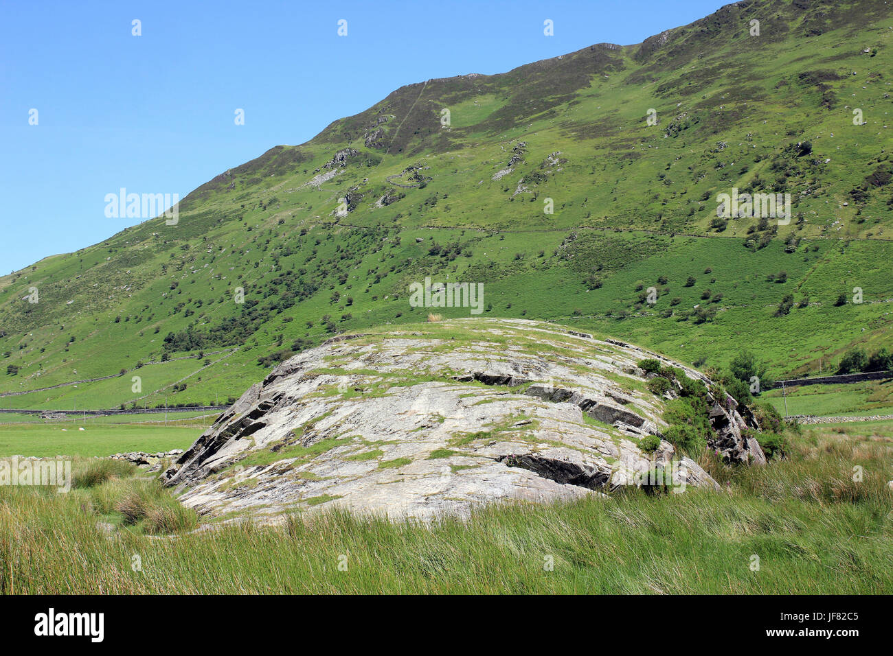 Roche Nant Ffrancon Mountonee en el valle, Snowdonia, Gales Foto de stock