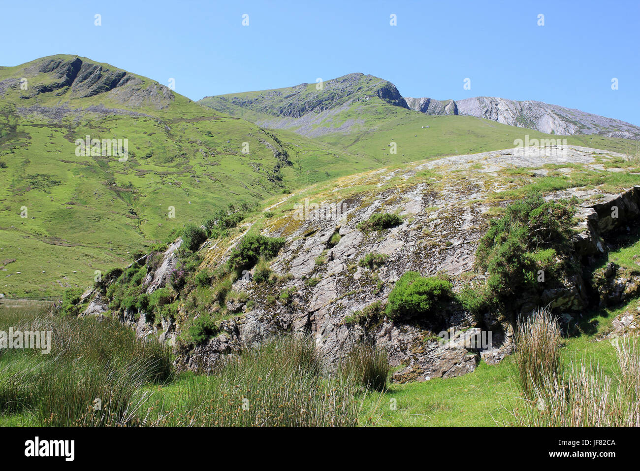 Roche Nant Ffrancon Mountonee en el valle, Snowdonia, Gales Foto de stock