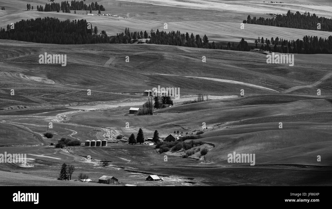 Coloridas tierras de cultivo de la región Palouse del este de Washington. Foto de stock