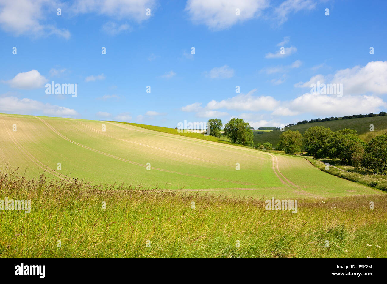 Los campos salvajes fotografías e imágenes de alta resolución Alamy