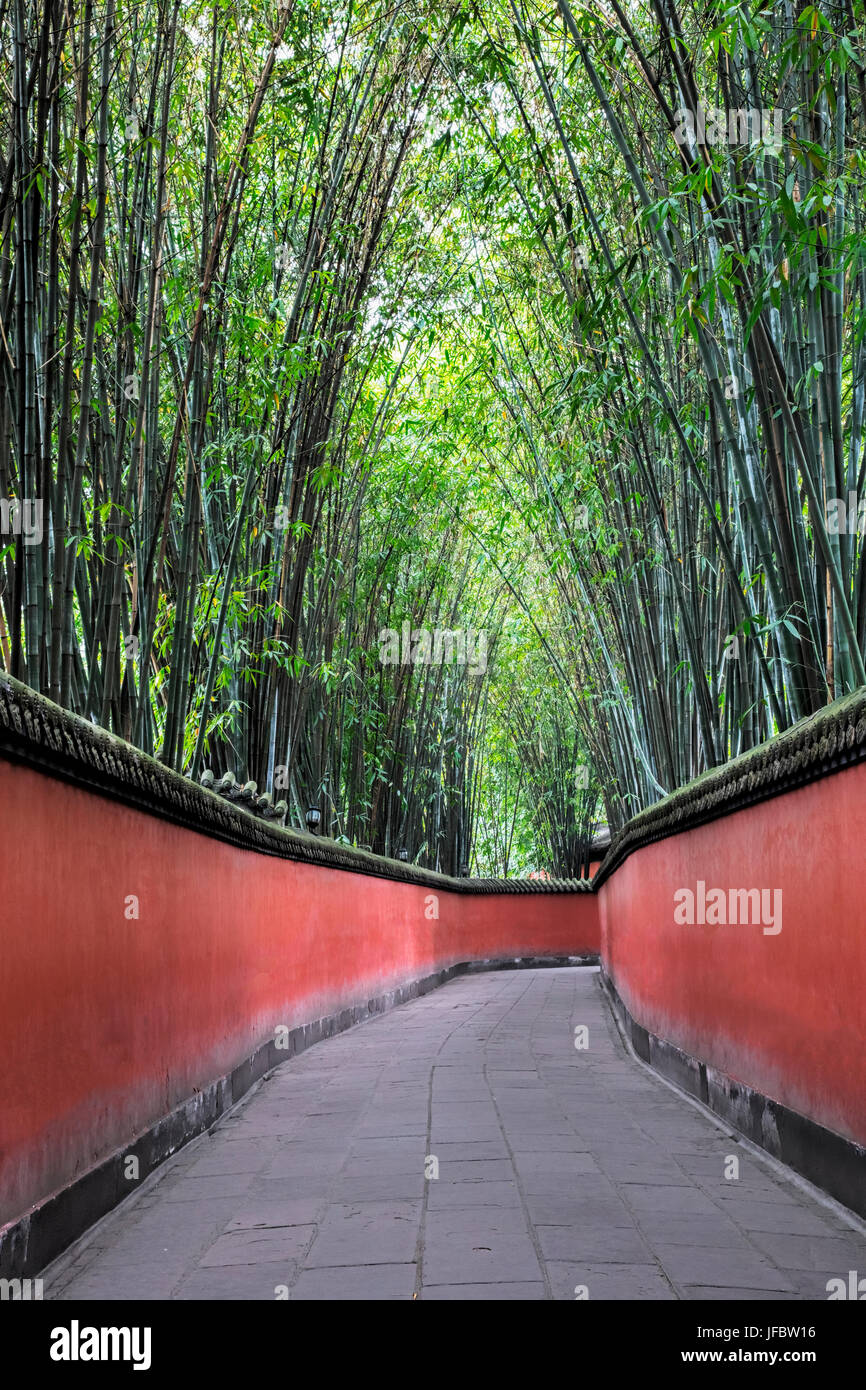 Tranquilo paseo cubierto de bambú a través del Santuario de Wuhou, en Chengdu, provincia de Sichuan, China Foto de stock