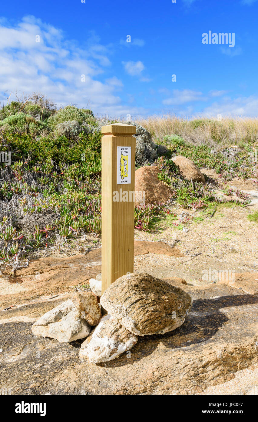 Los marcadores de pino en la pista de cabo a cabo en Cape Leeuwin en el sur oeste de Australia Occidental Foto de stock