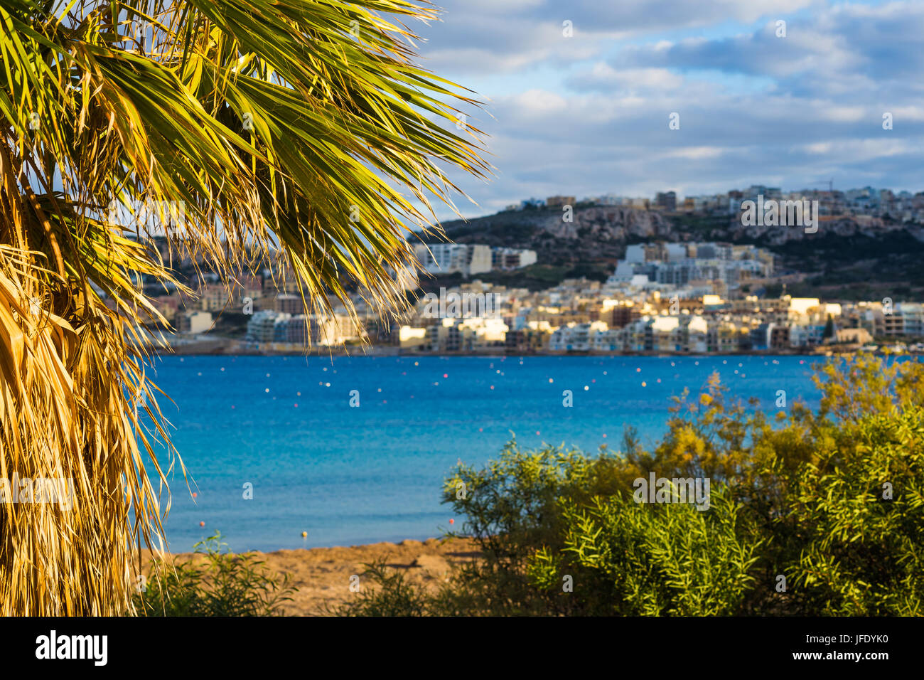 Il-Mellieha, Malta - palmeras y plantas en la bahía de Mellieha con agua de mar turquesa y Mellieha ciudad a fondo en un cálido día de verano Foto de stock