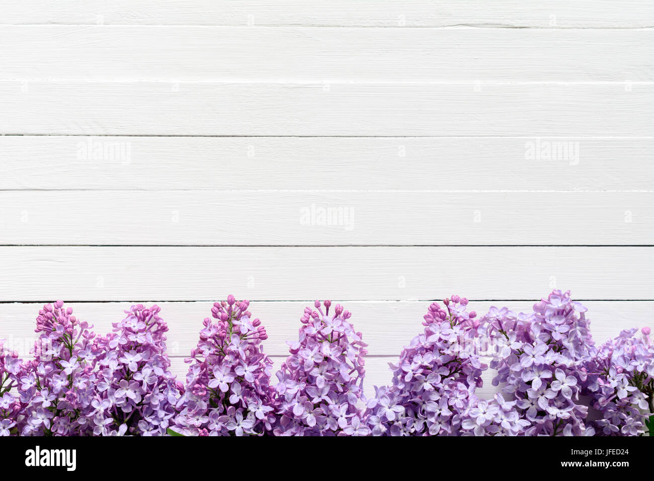 Composición de marco flores lila sobre fondo blanco. Sentar planas de lilas. Espacio de copia Foto de stock