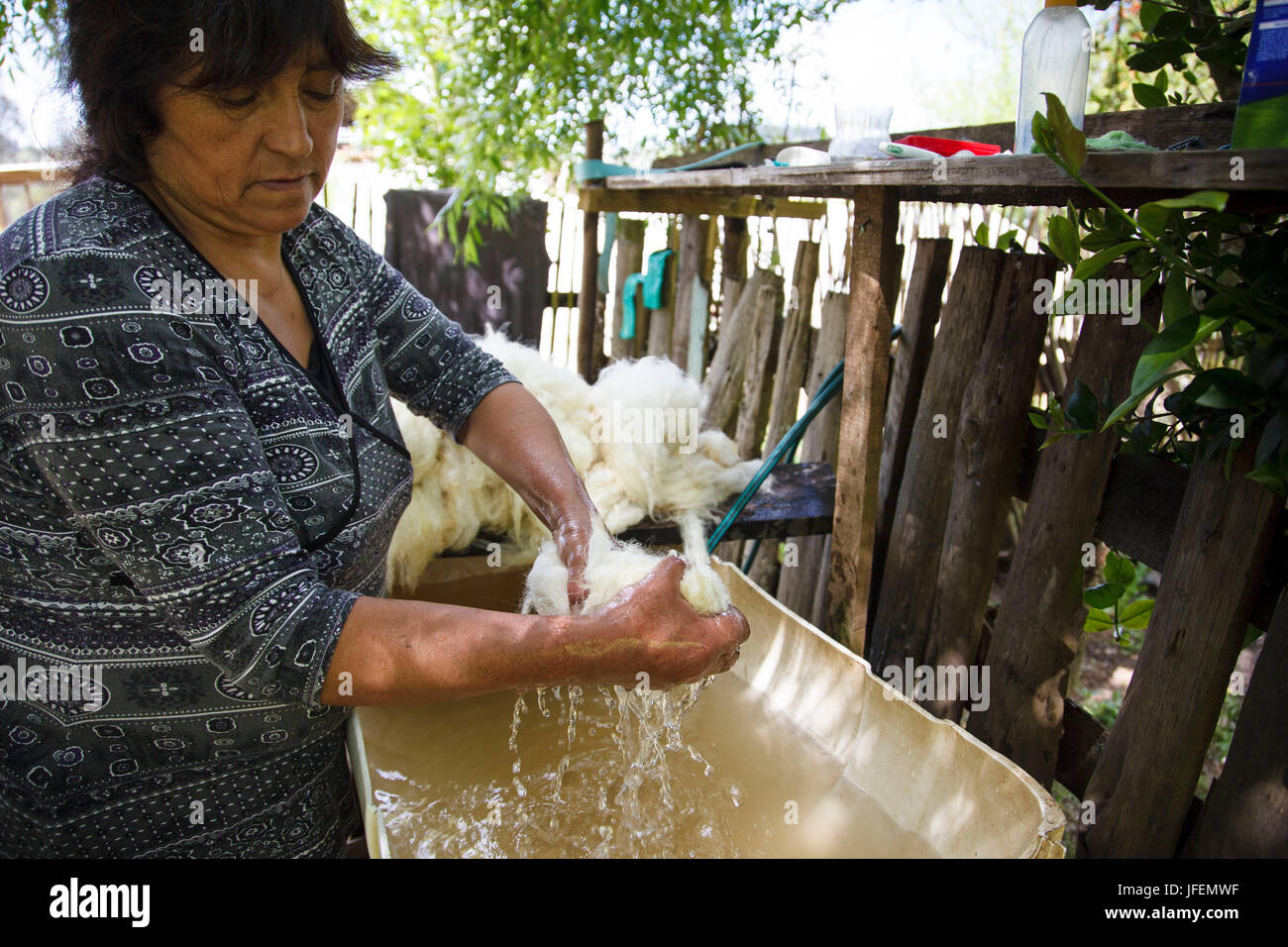 Chile, Araucanía, Temuco, Mapuche, bastante comercio, textiles, el lavado de la lana de oveja, mujer Foto de stock