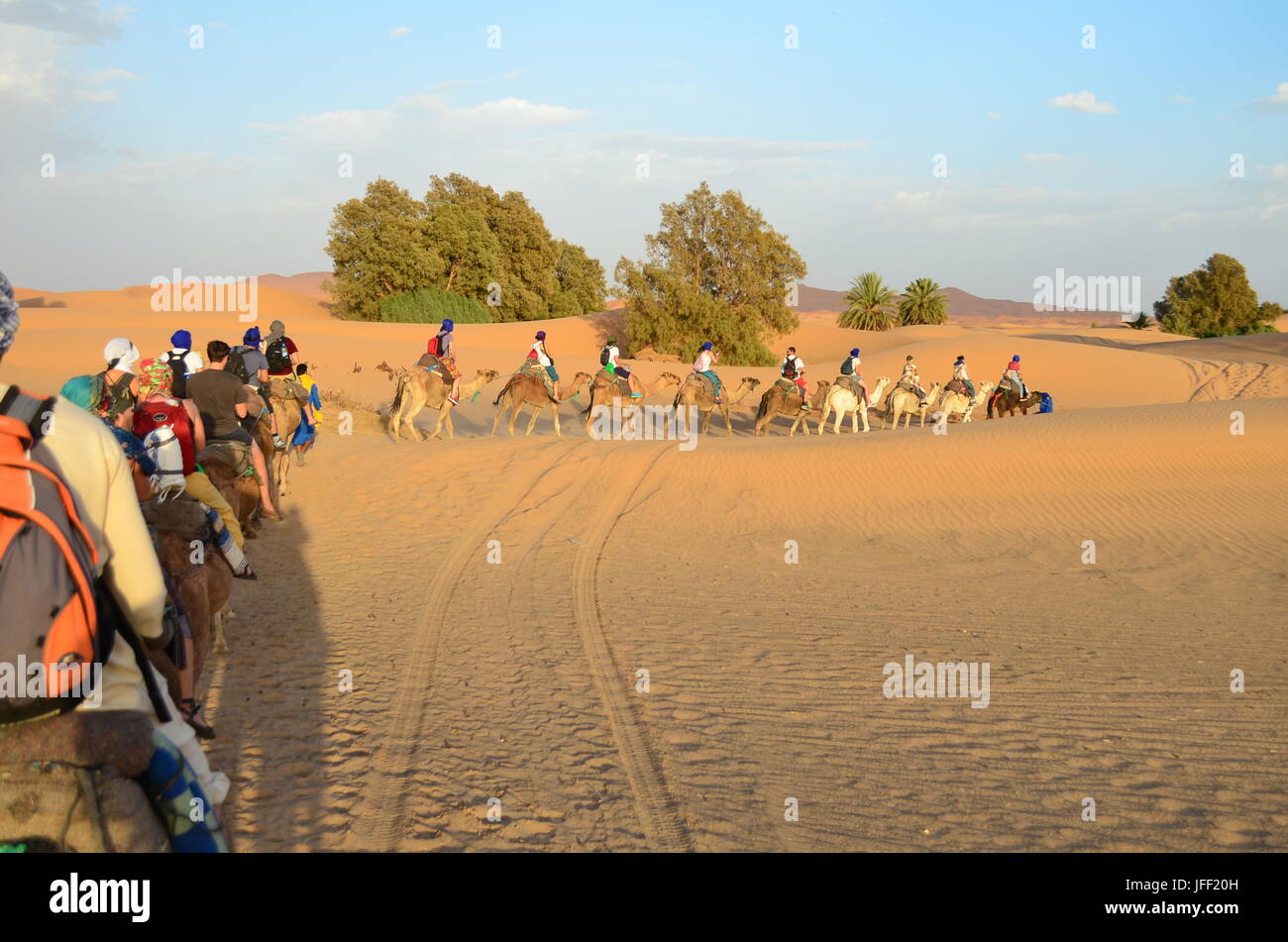 Línea de turistas montando dromedarios a través del gran desierto de Sahara en las montañas del Alto Atlas, Marruecos Foto de stock