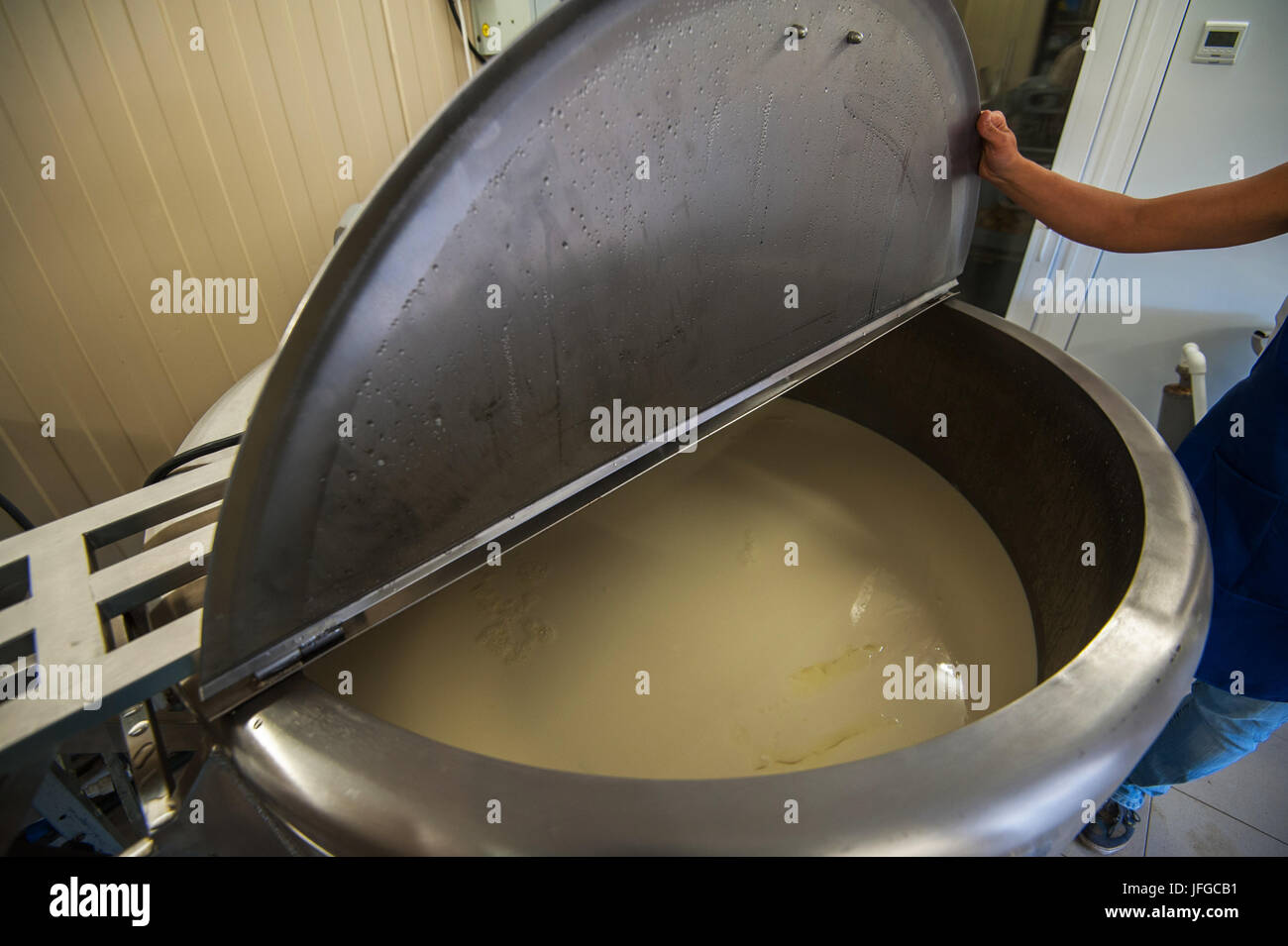 La producción de quesos de granja Foto de stock