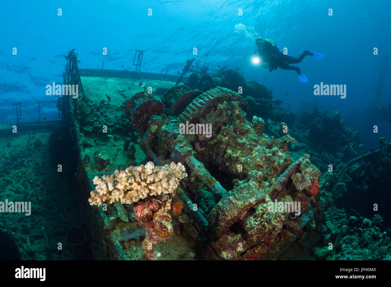 Diver en el naufragio de la Umbría, outsideate arrecife, el Mar Rojo, Sudán Foto de stock