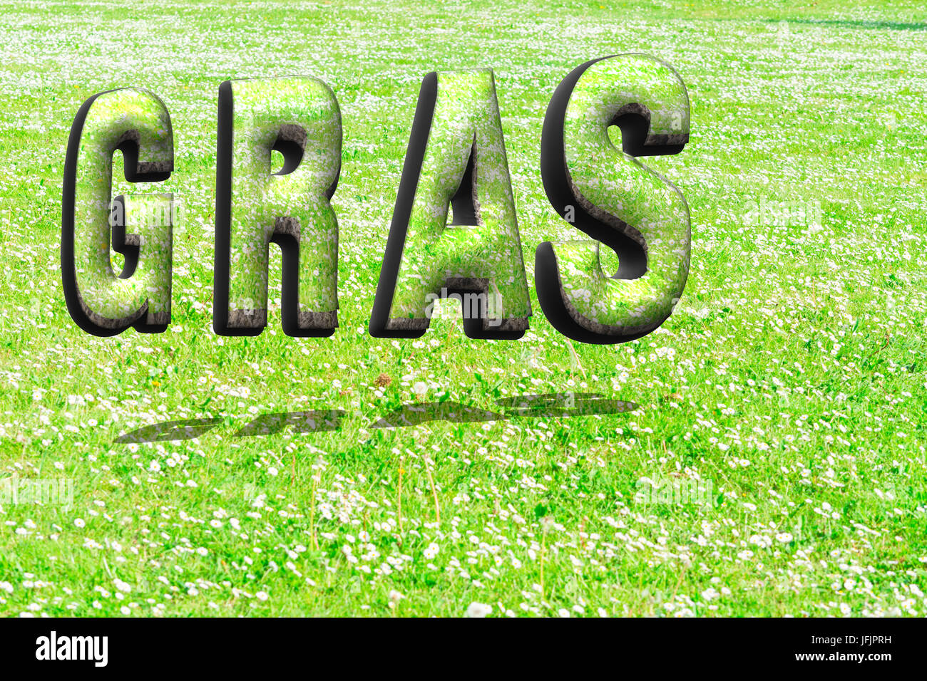 La palabra hierba de pasto verde estructura en 3D Foto de stock